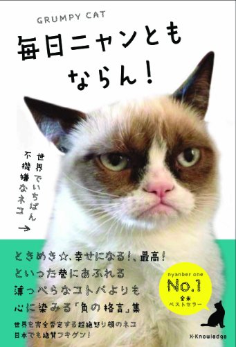 グランピー・キャット（不機嫌な猫）が世界中で大ブーム | フランス語